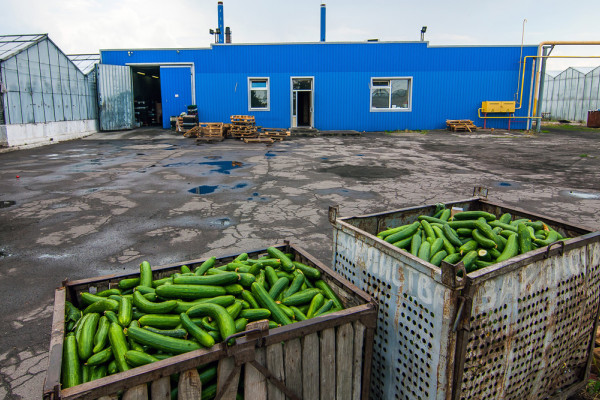 The existing agricultural complex in Kherson